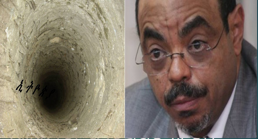 meles